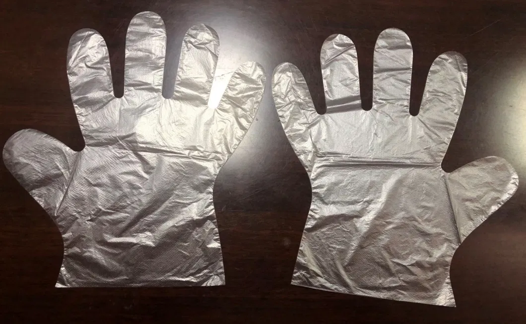 HDPE LDPE CPE TPE Clear Color Plastic Polythene Disposable Glove