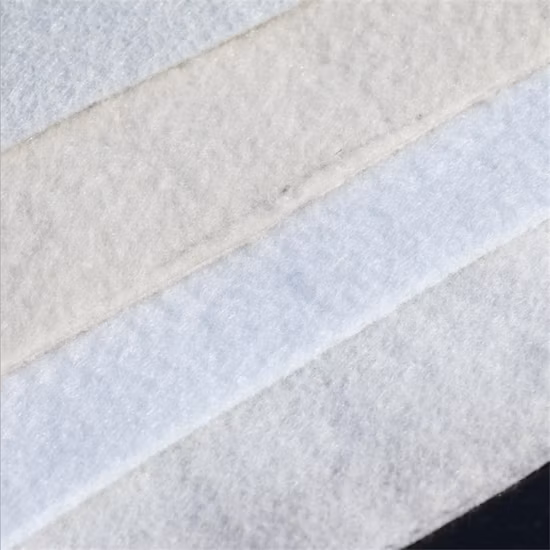 Non Woven Face Mask with Filter (Medical Face Mask)